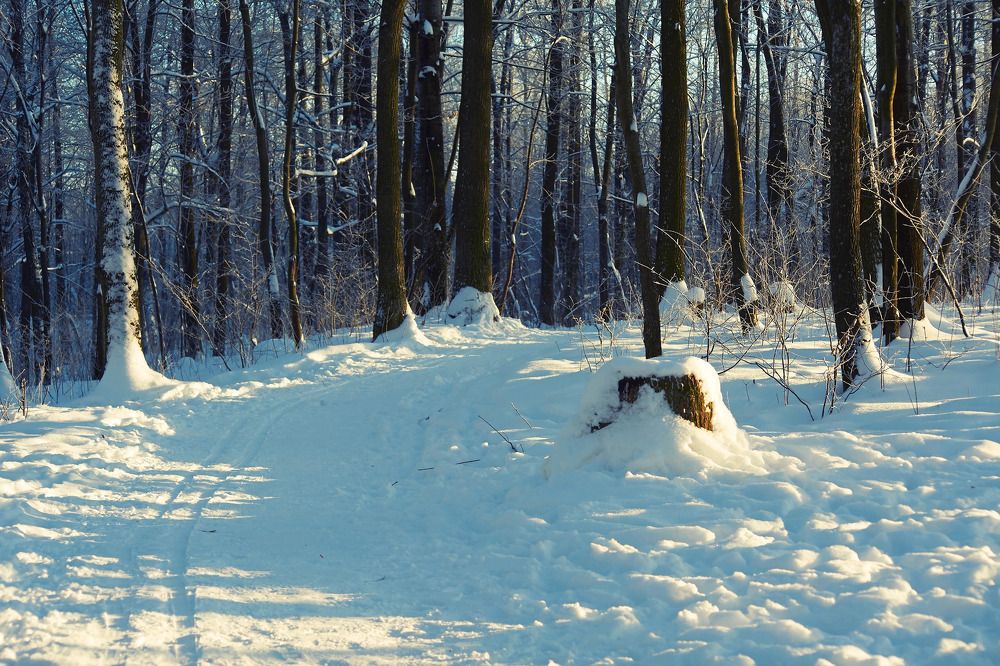 Photograph by Alexander Coin