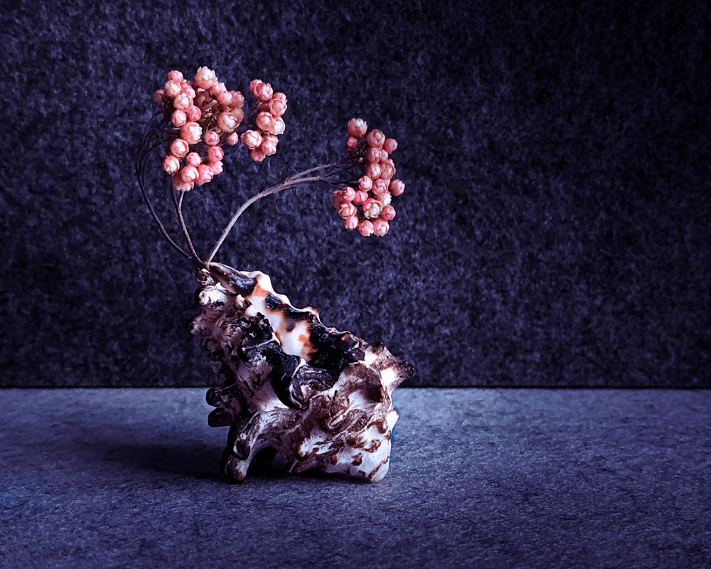 Photograph by Наталья Ефимова