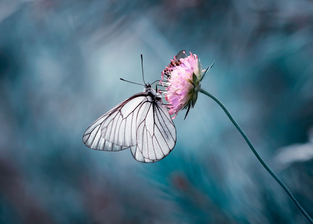 Photograph by Олег Пученков