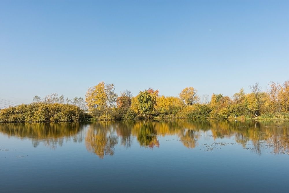 Photograph by Людмила Финкель