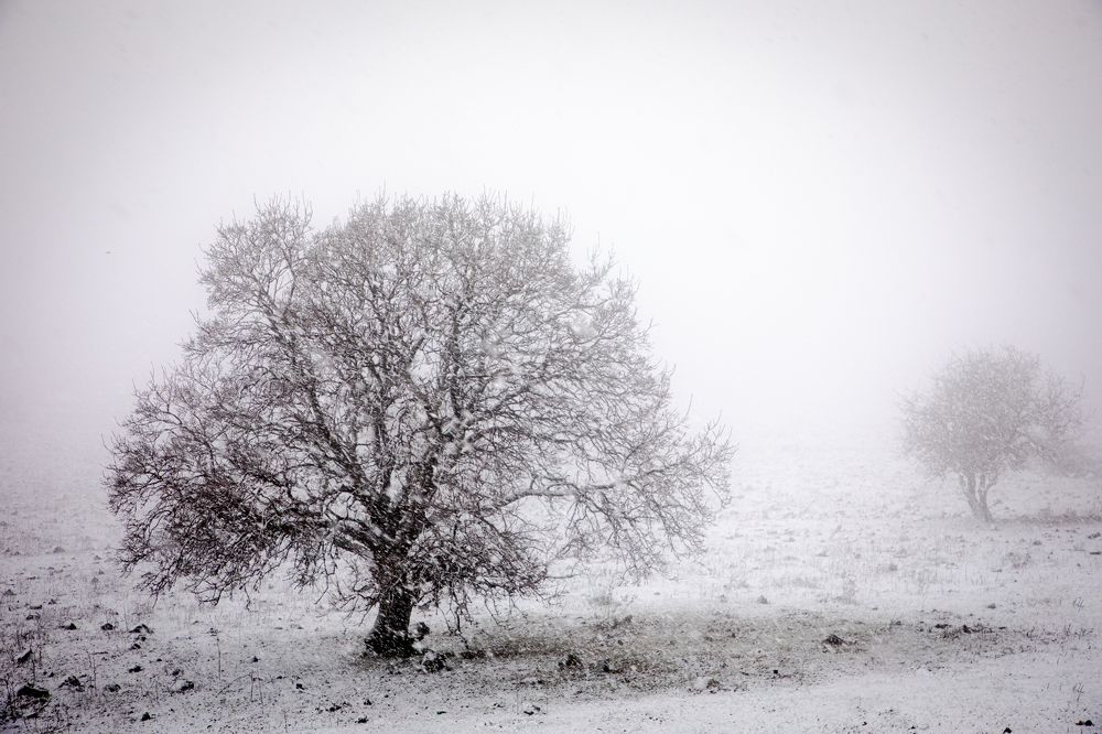 Photograph by Yaniv Abramovitz