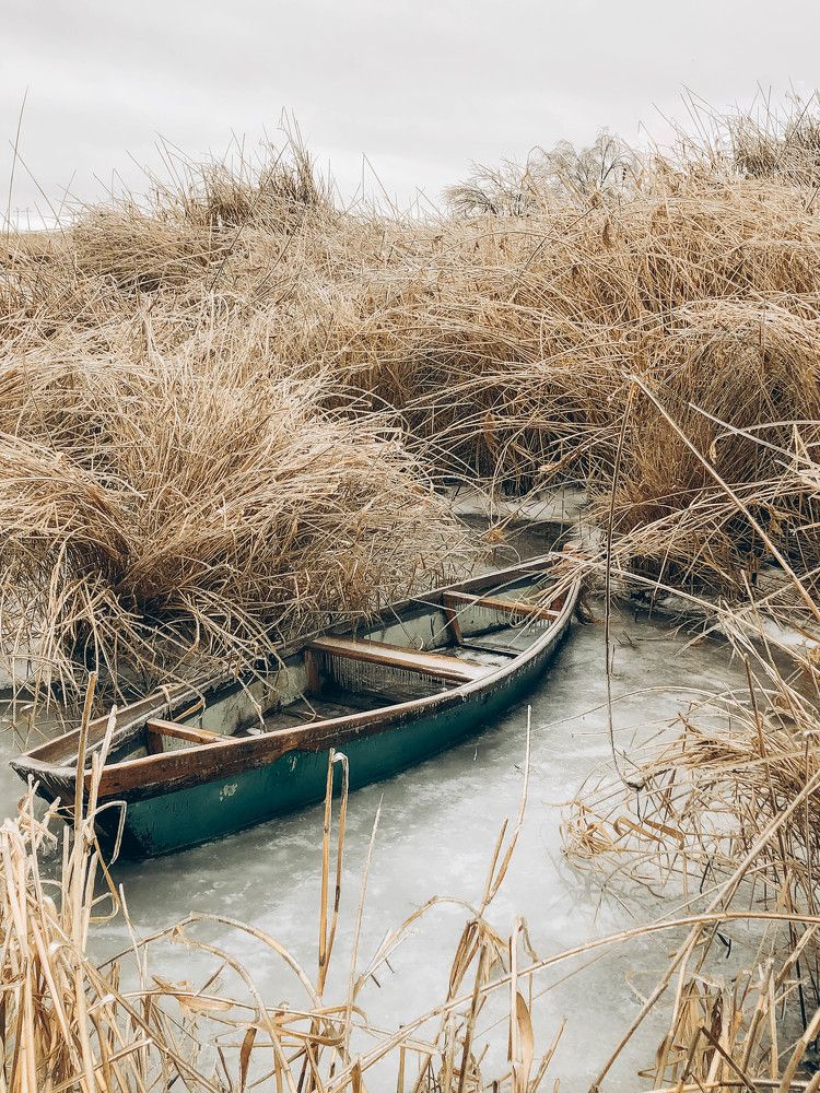 Photograph by Алексей Жибовский