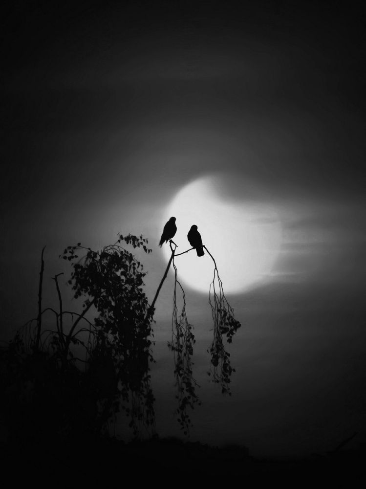 Photograph by Татьяна Максакова