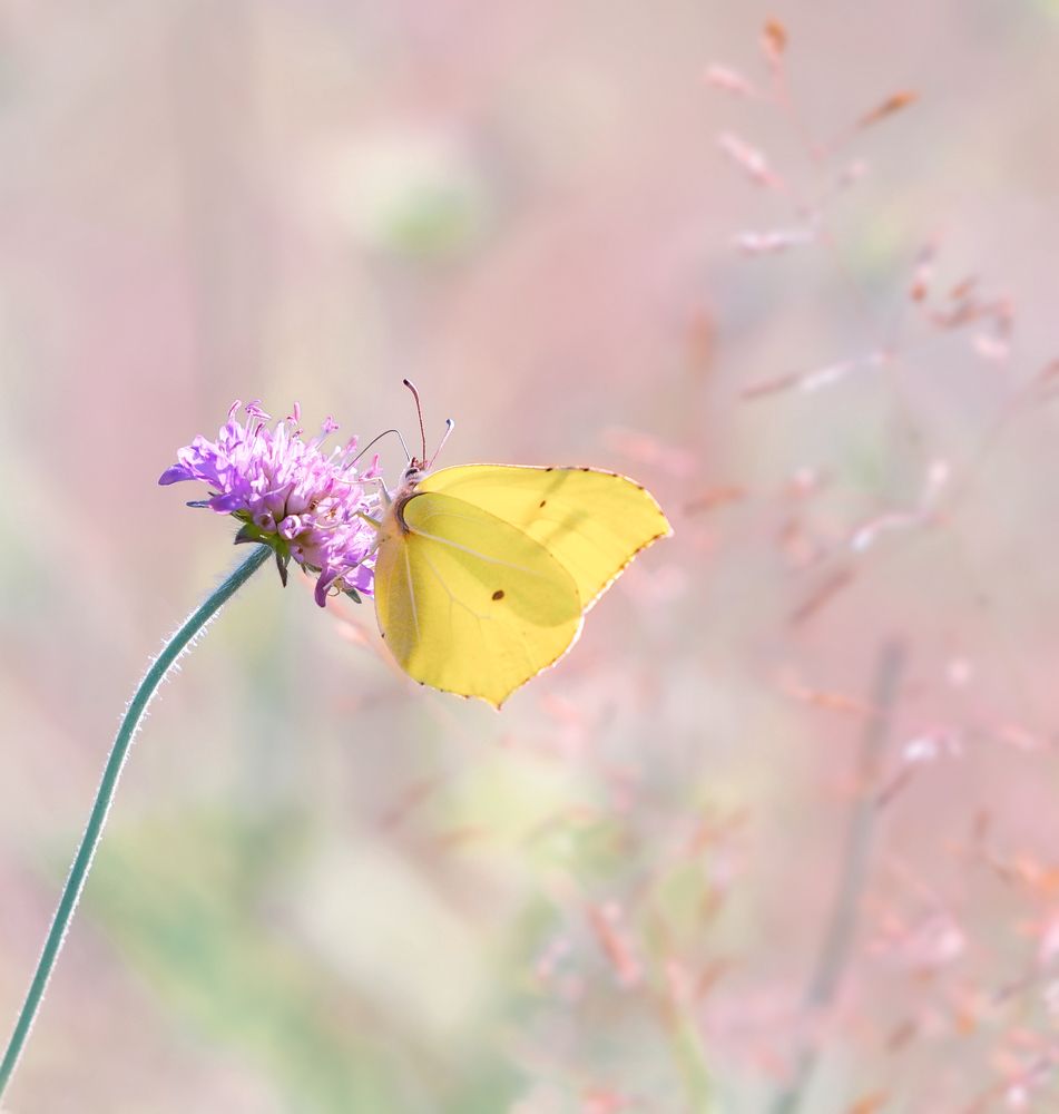 Photograph by Олег Пученков