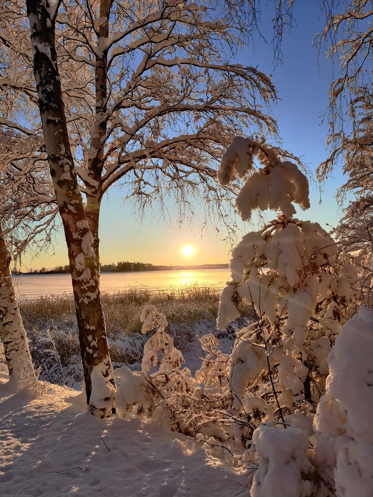 Photograph by Alena Gudz