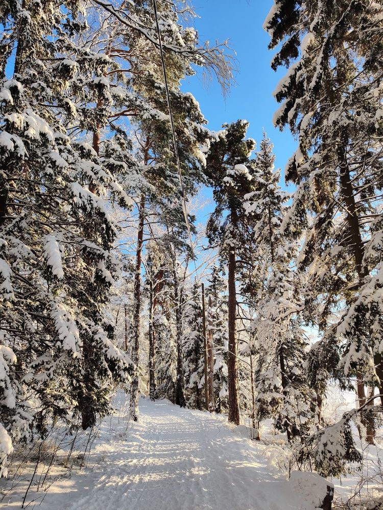 Photograph by Alena Gudz