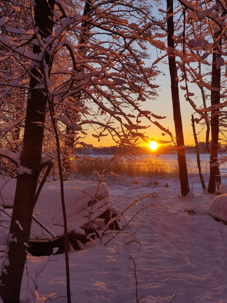 Photograph by Alena Gudz