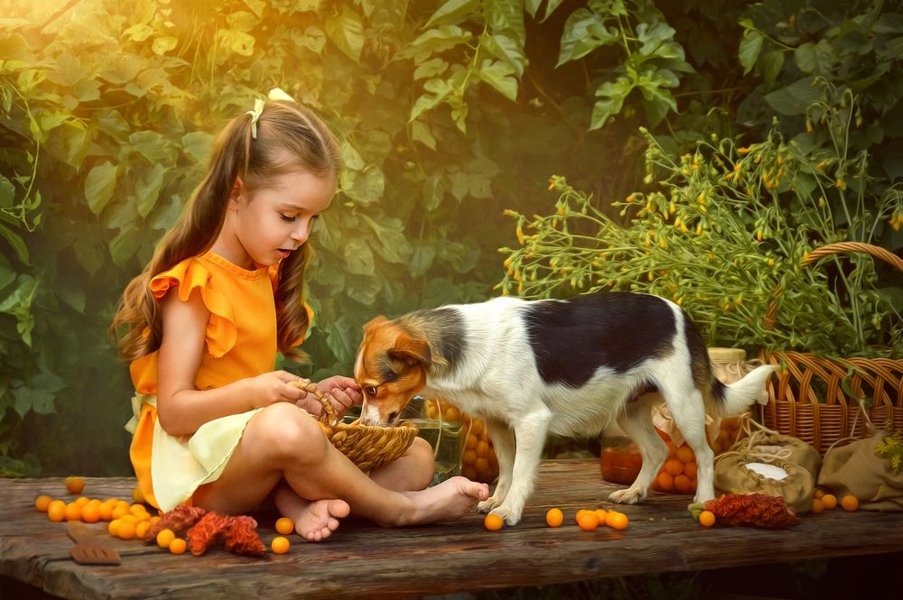 Photograph by Анна Владыко