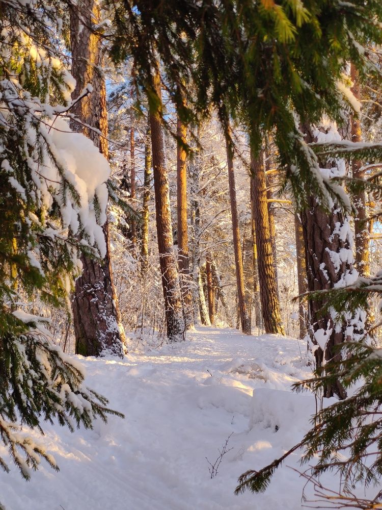 Photograph by Alena Gudz