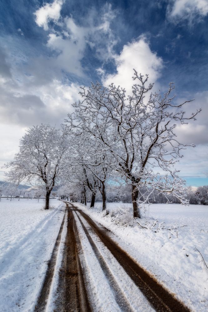 Photograph by Marcello Ciervo