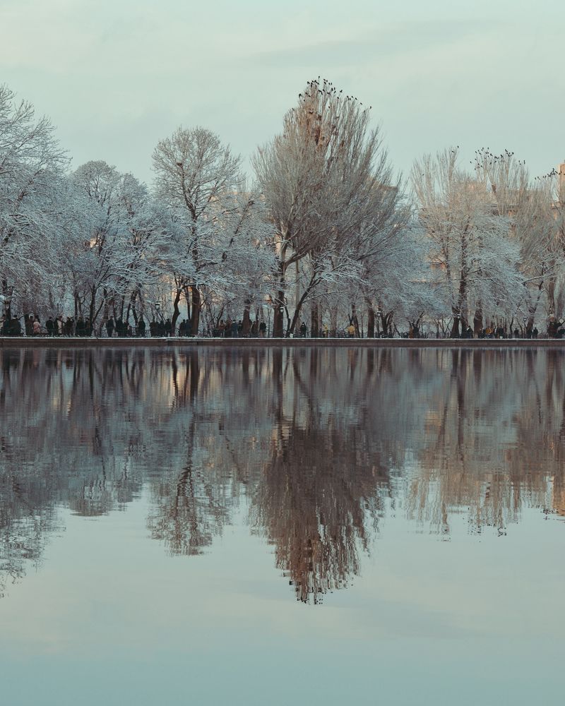 Фотография автора Mohammad Mohammadpour