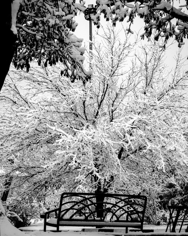 Фотография автора Mohammad Mohammadpour