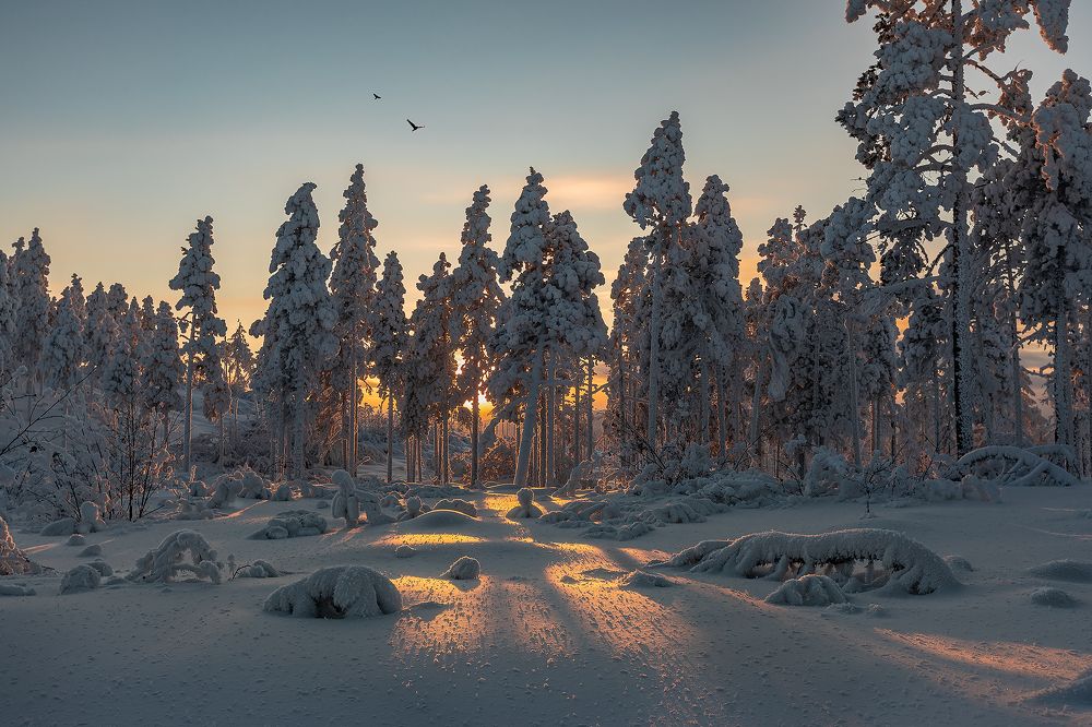 Photograph by Зарышнюк Роман