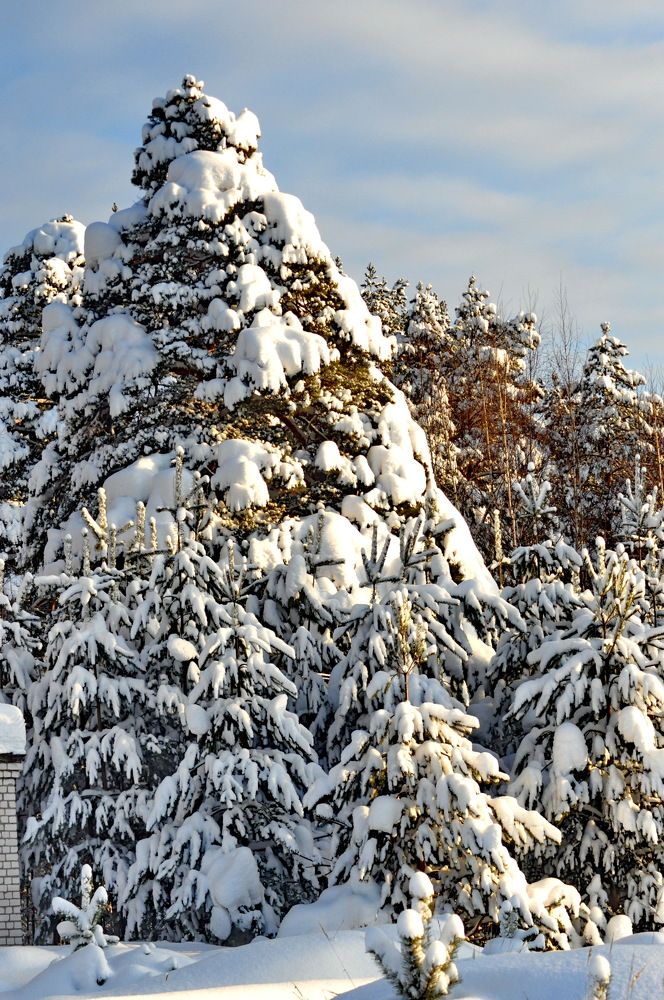 Photograph by Николай Николаевич Леухин