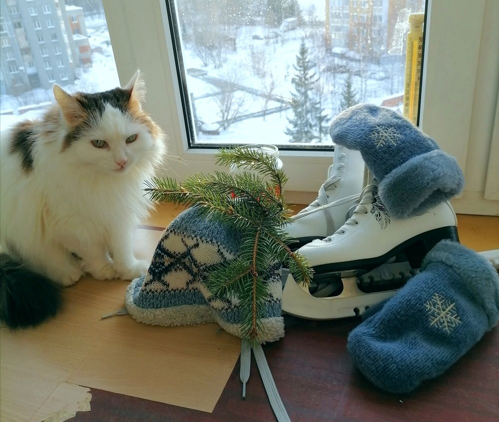 Photograph by Кунц