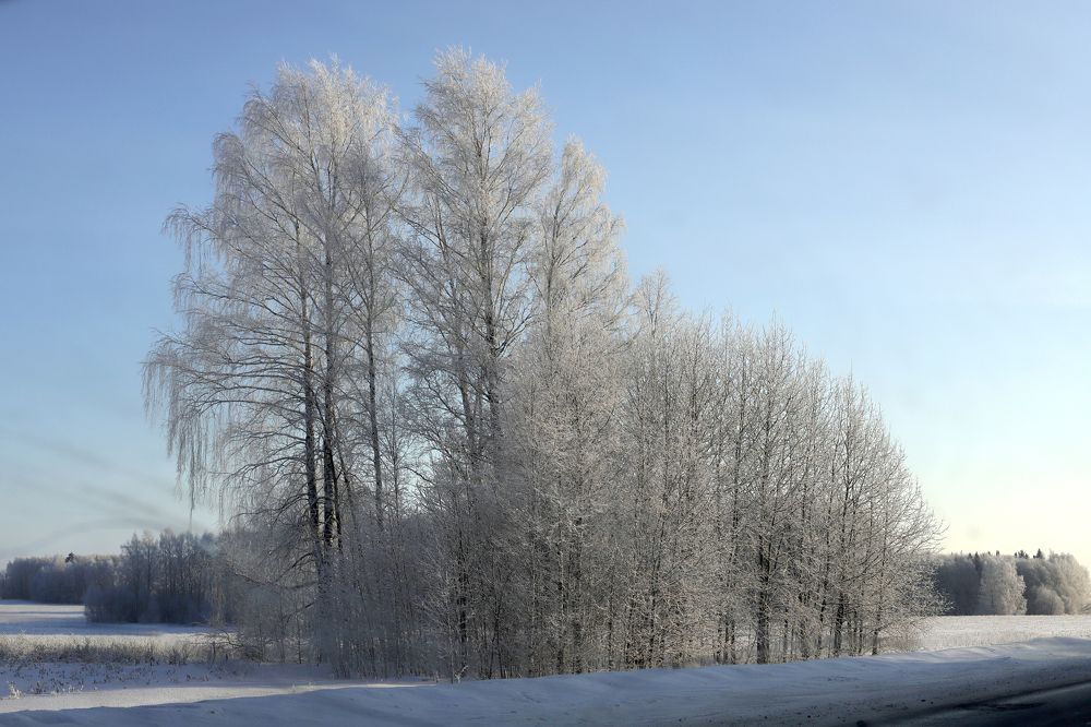 Photograph by Юлия Трап