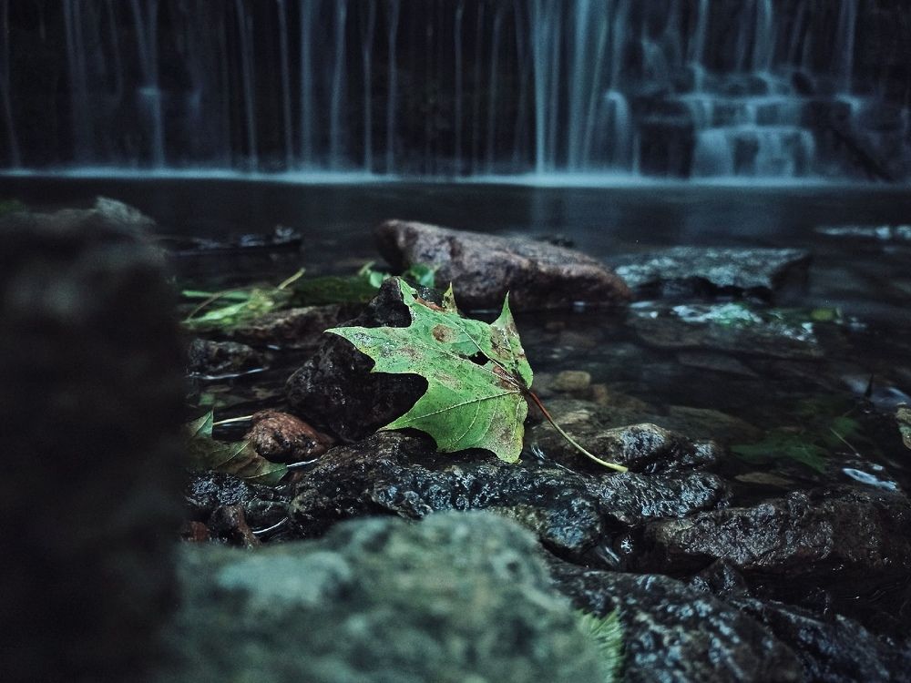 Photograph by Ольга Йонш