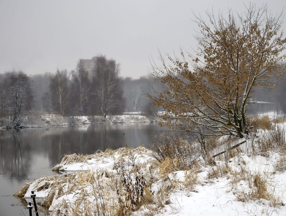 Photograph by NIKOLAY GORBUNOV