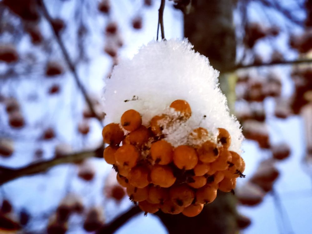 Photograph by Oleg_magic