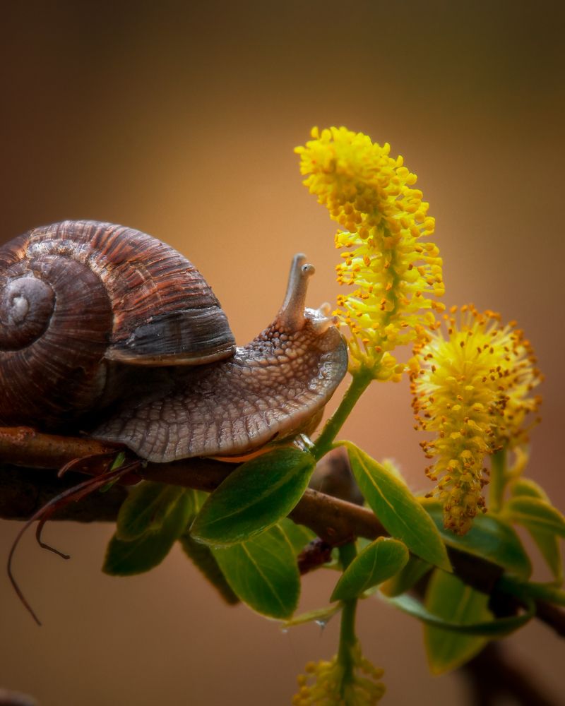 Photograph by Элина Васькова