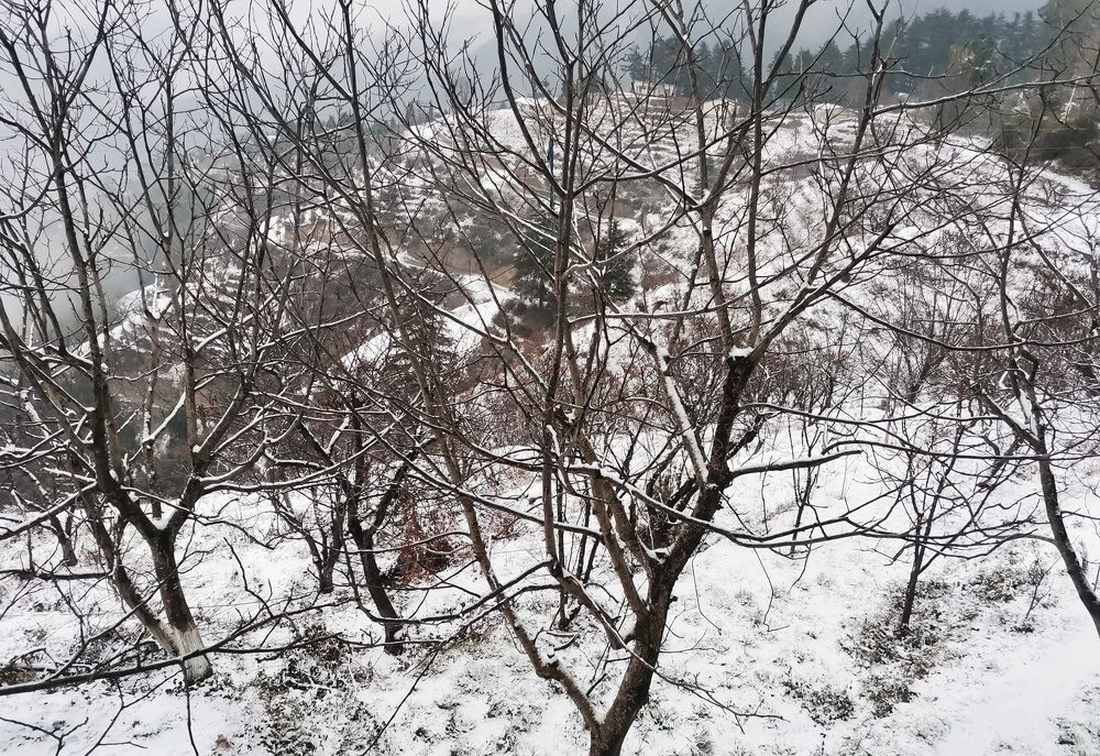 Photograph by Anil Yadav