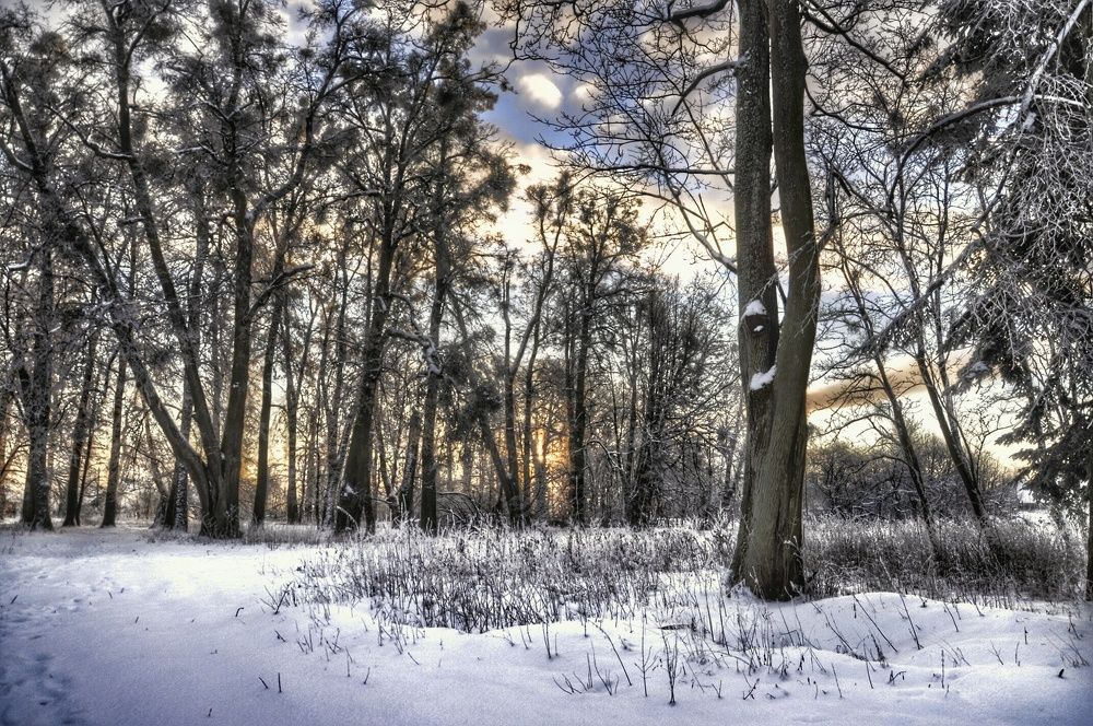 Photograph by Сергей Жигульский