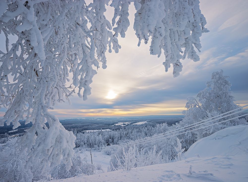 Photograph by Николай Ларионов