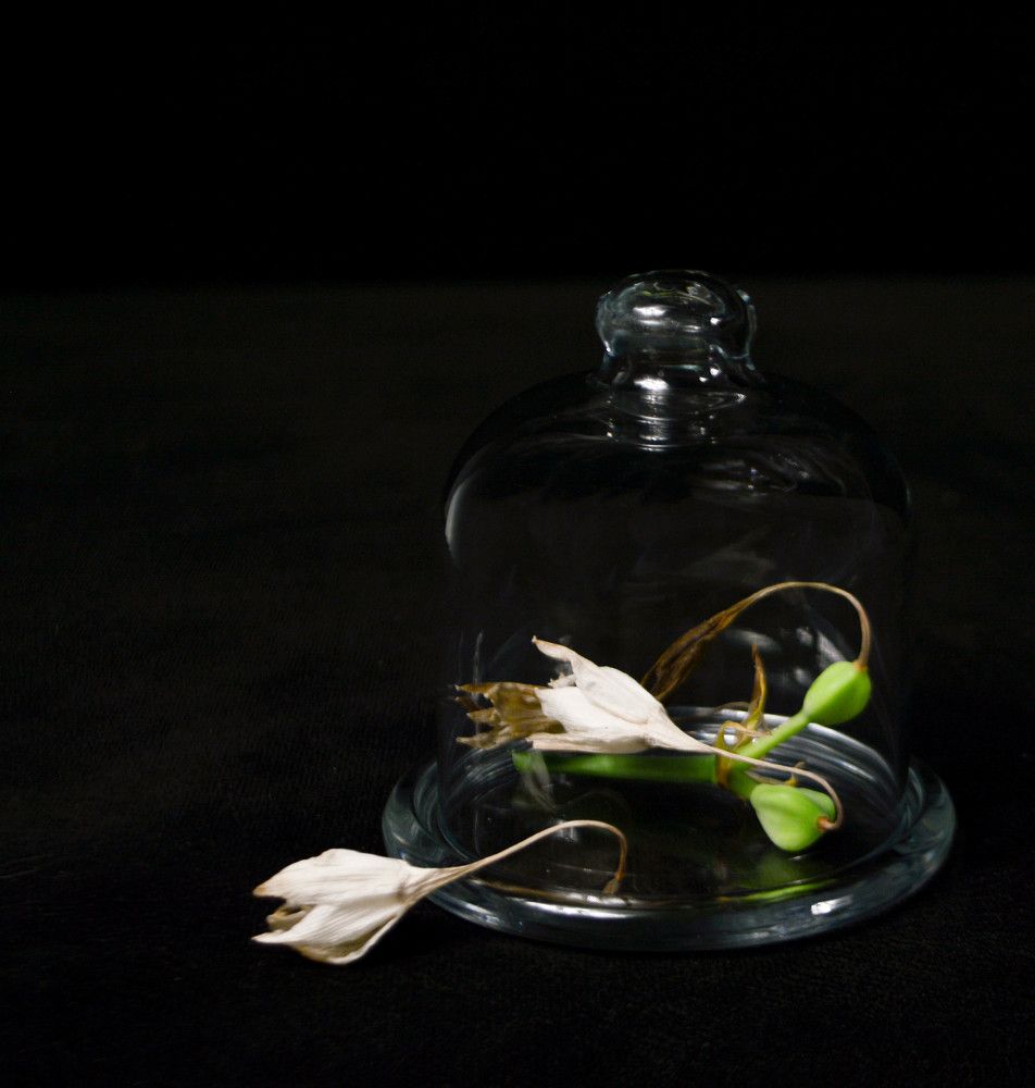 Photograph by Наталья Мордовская