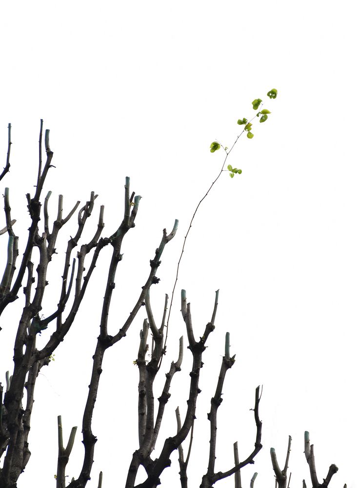 Фотография автора Татьяна Чугунова