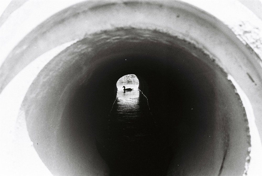 Photograph by Анатолий Смирнов