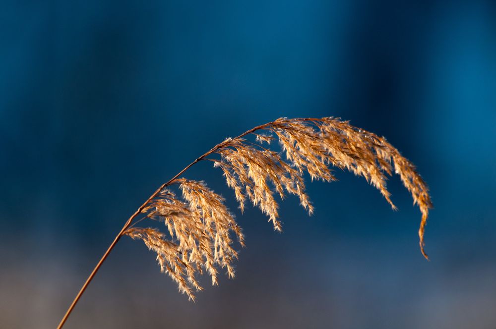 Photograph by Вадим Басов