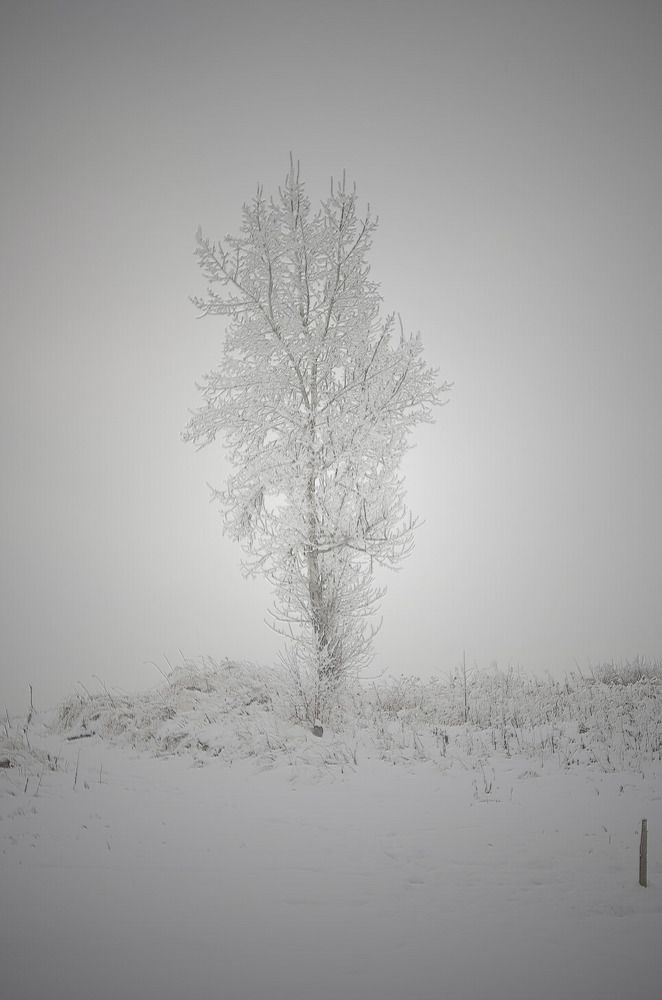 Photograph by Вадим Басов