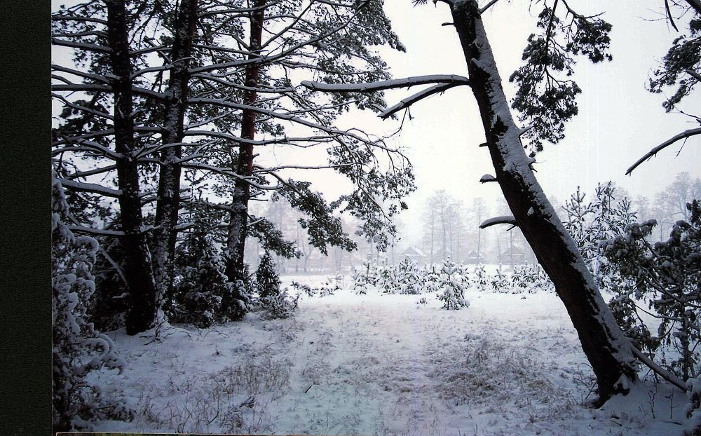 Photograph by Владимир Астахнович