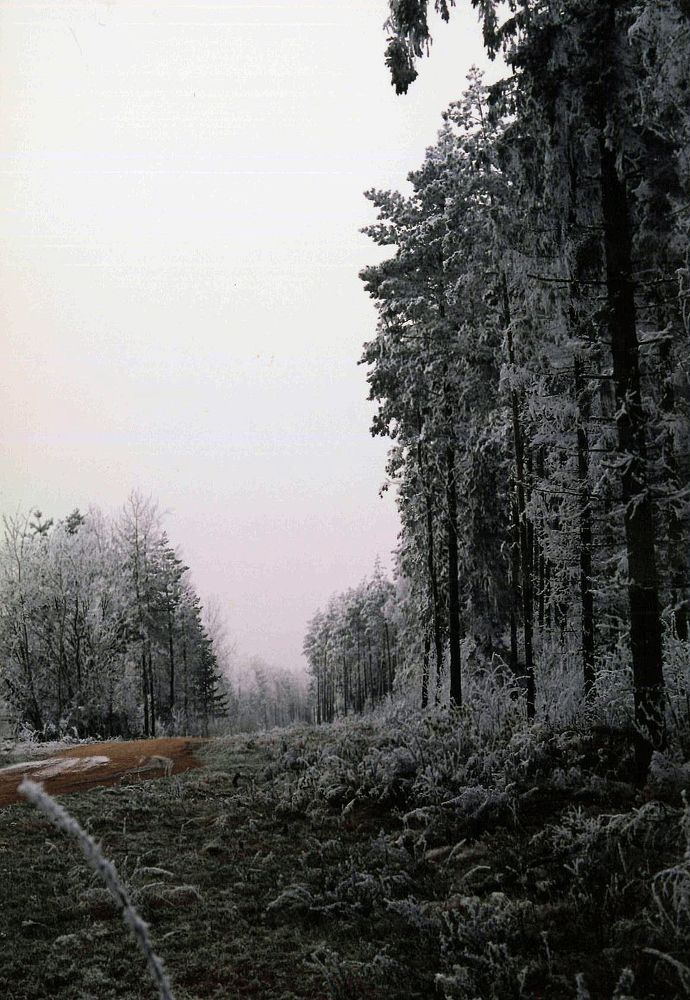 Photograph by Владимир Астахнович