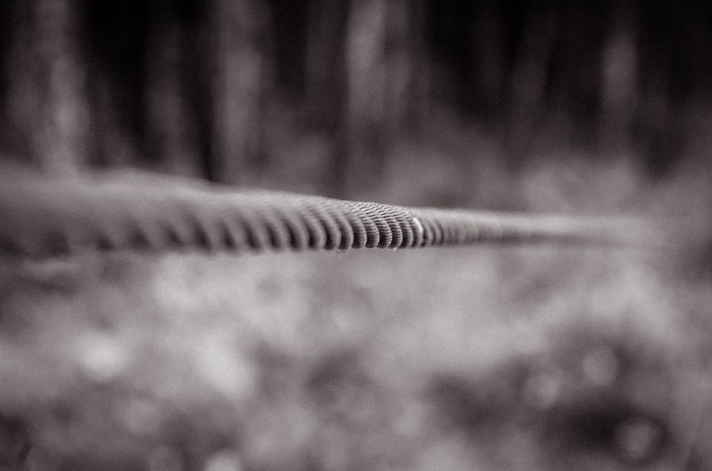 Photograph by Вадим Басов