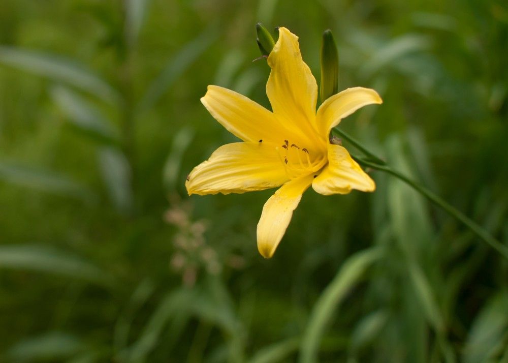 Photograph by Вадим Басов