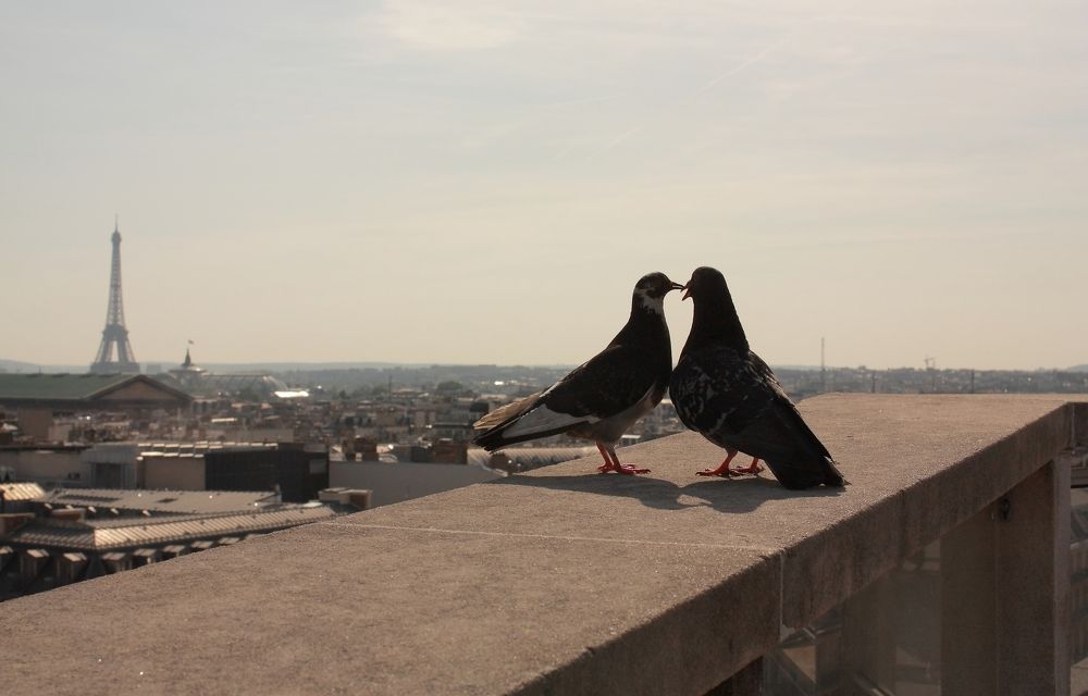 Photograph by Игорь