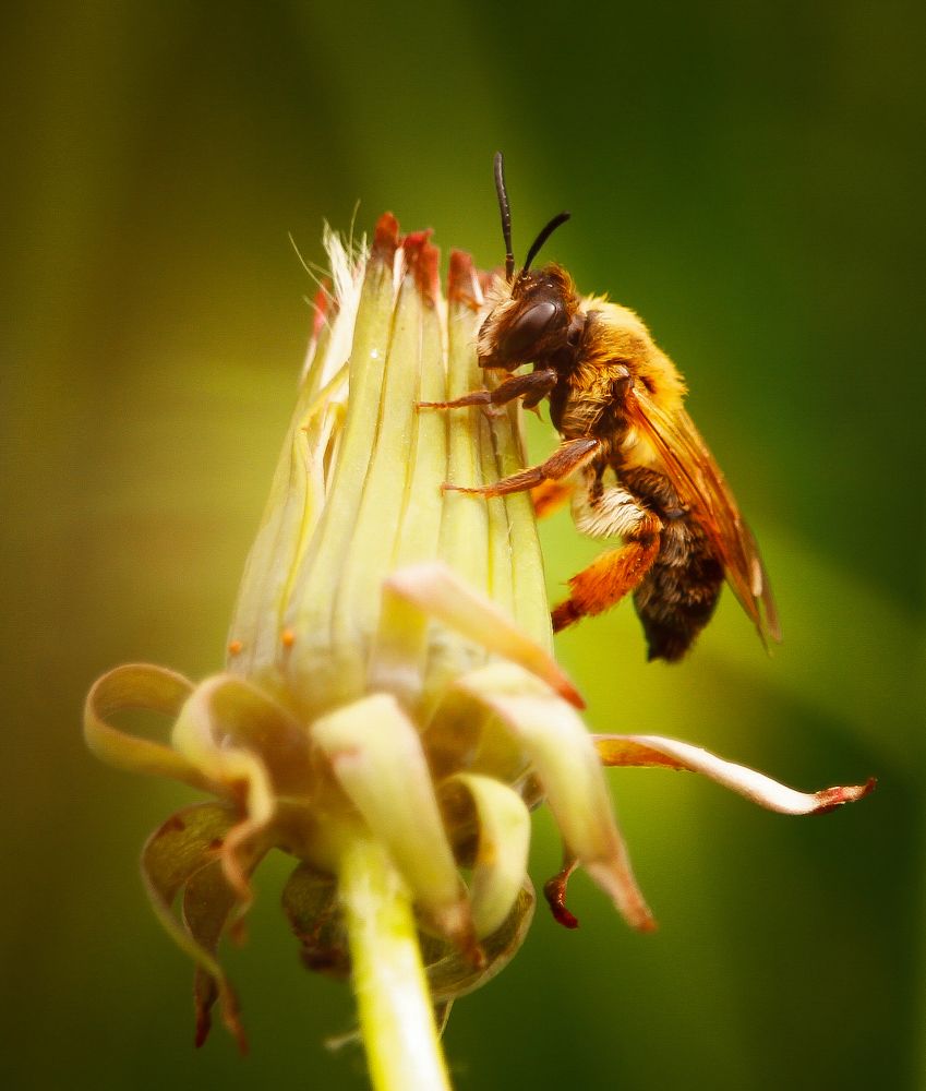 Photograph by Элина Васькова