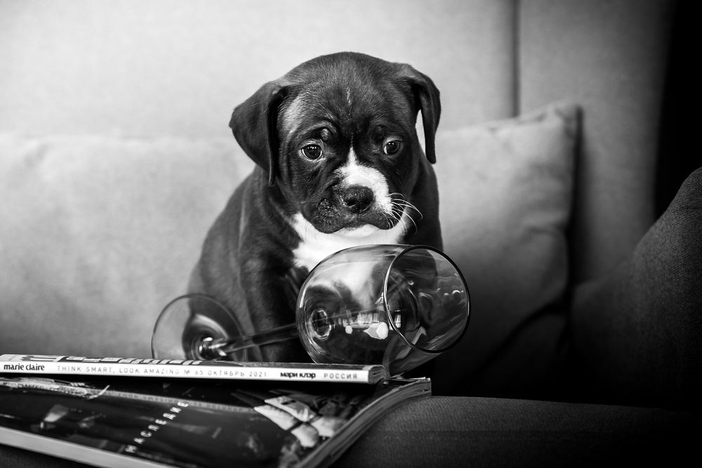 Photograph by Дмитрий Алабугин