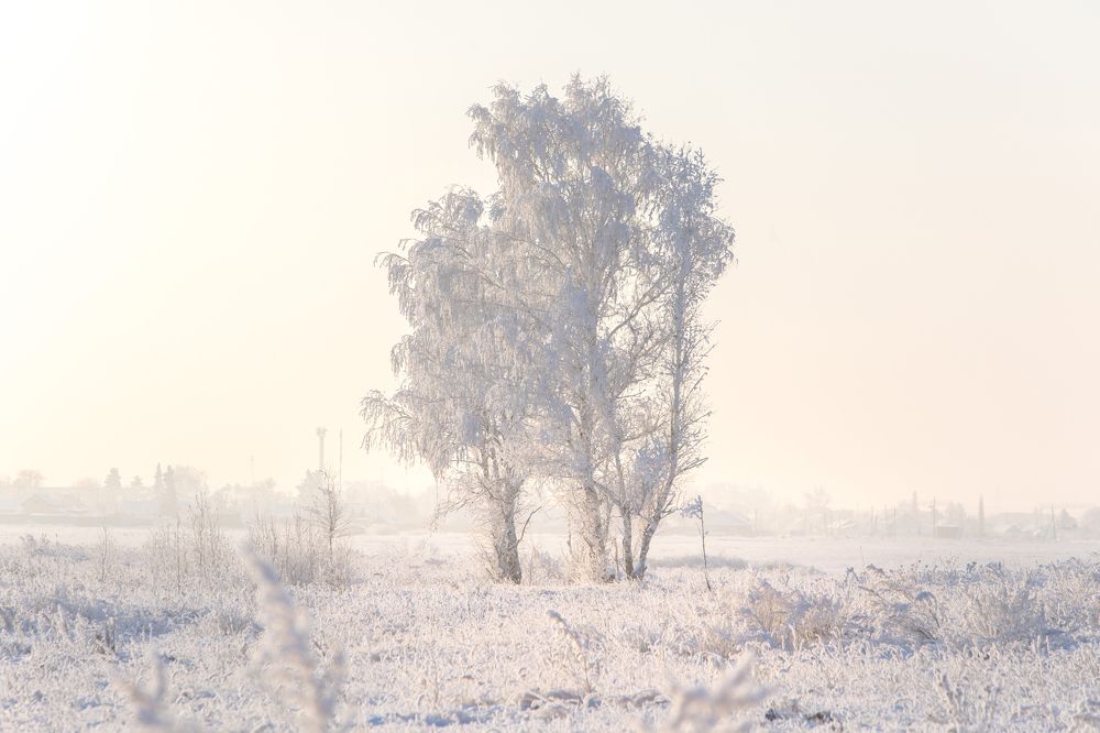 Photograph by Дмитрий Алабугин