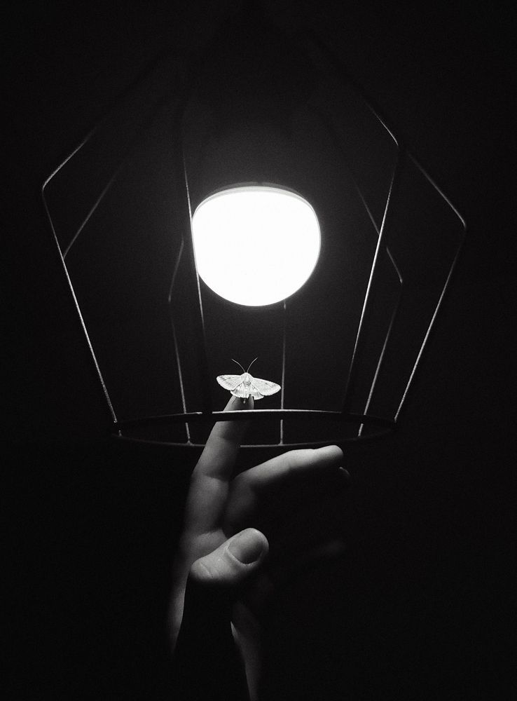 Photograph by Юркивский Игорь