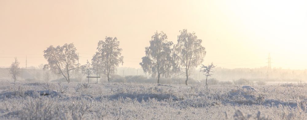 Photograph by Дмитрий Алабугин