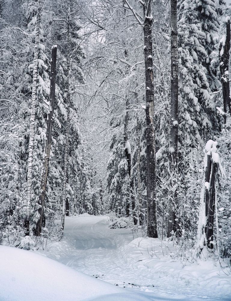 Photograph by Antonina Marchenko