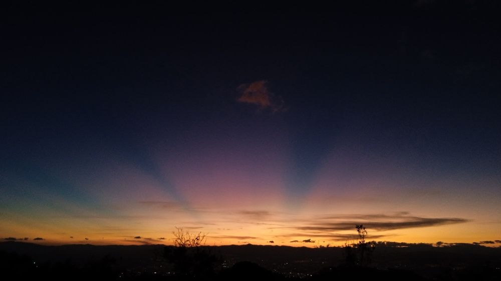 Photo #7106452