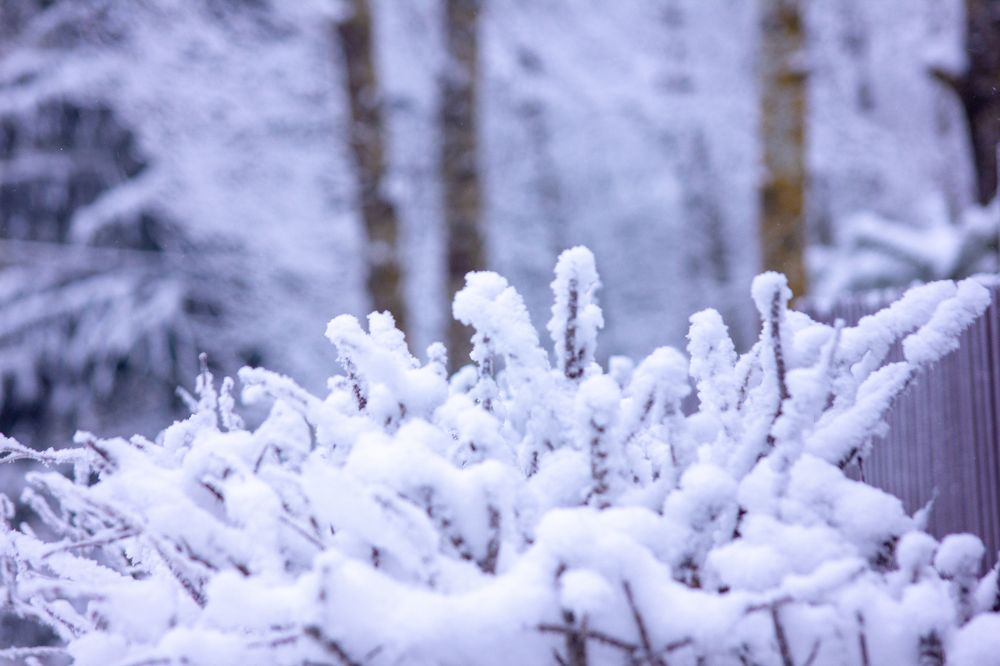 Photograph by Татьяна Казакова