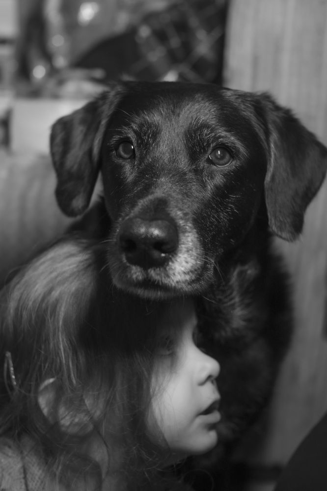 Photograph by Игорь Бобров