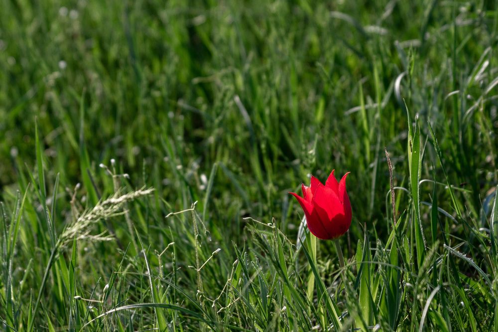 Photograph by Маргарита Таценко