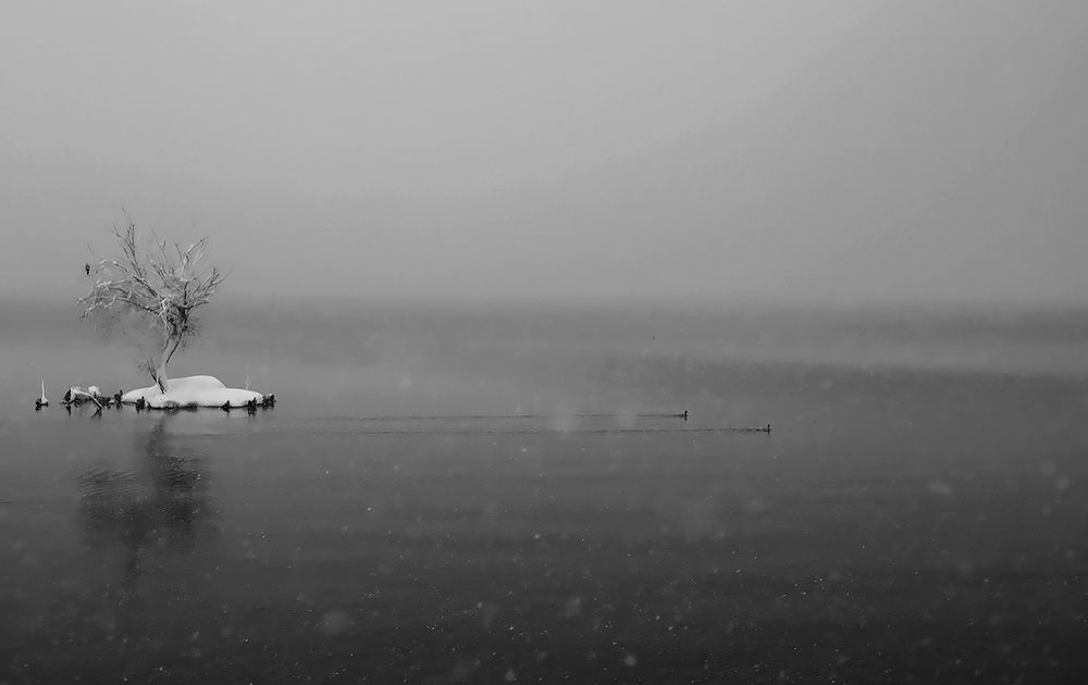 Photograph by shahoo moradi