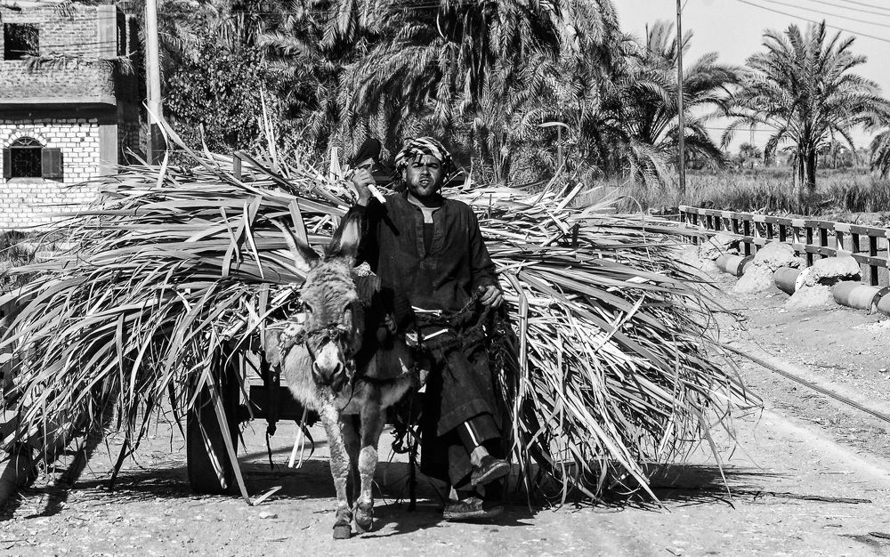 Фотография автора Andrei Rybachuk