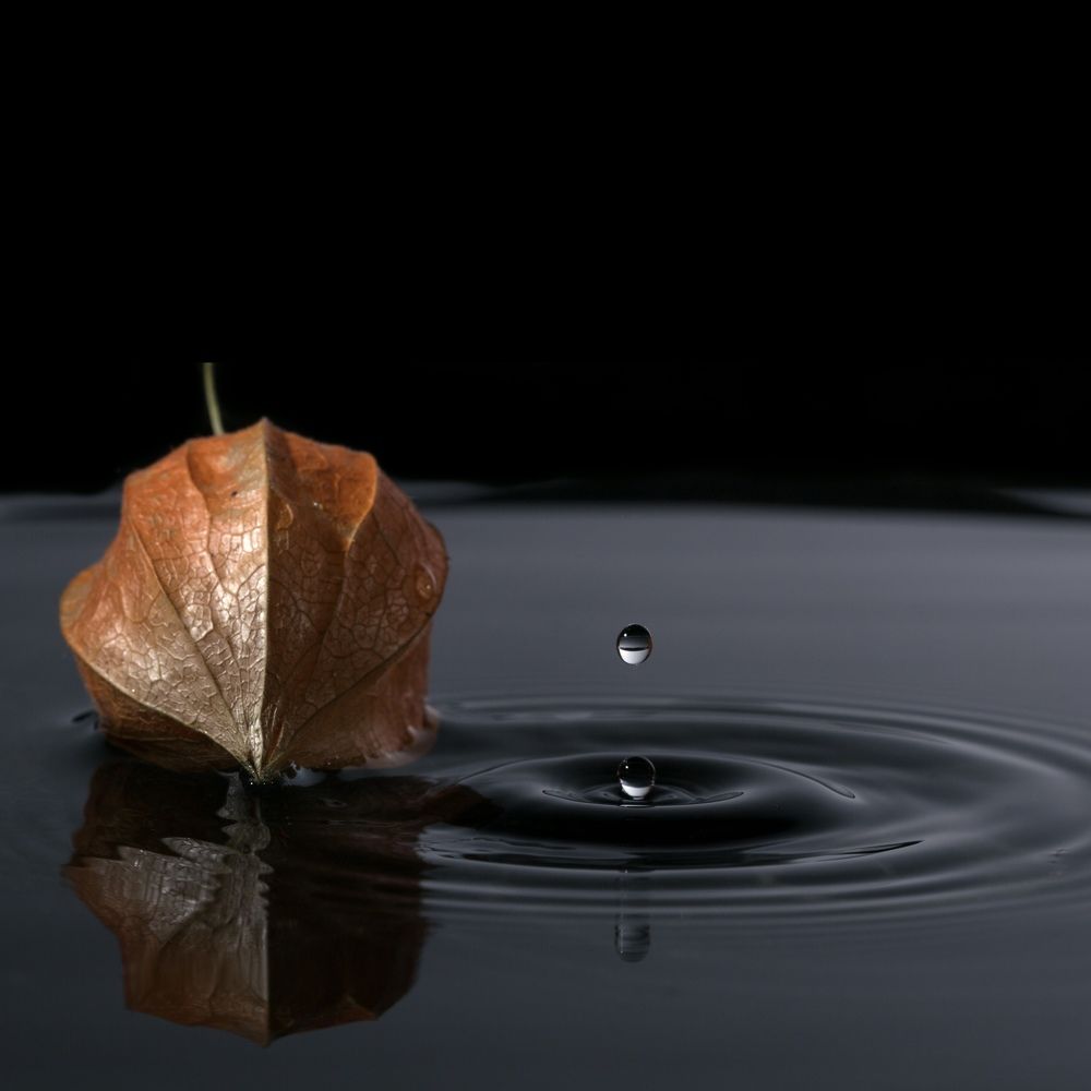 Photograph by Михаил